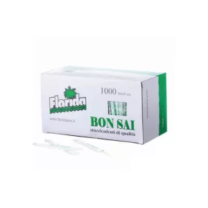 Cure dents en bois emballés (M)